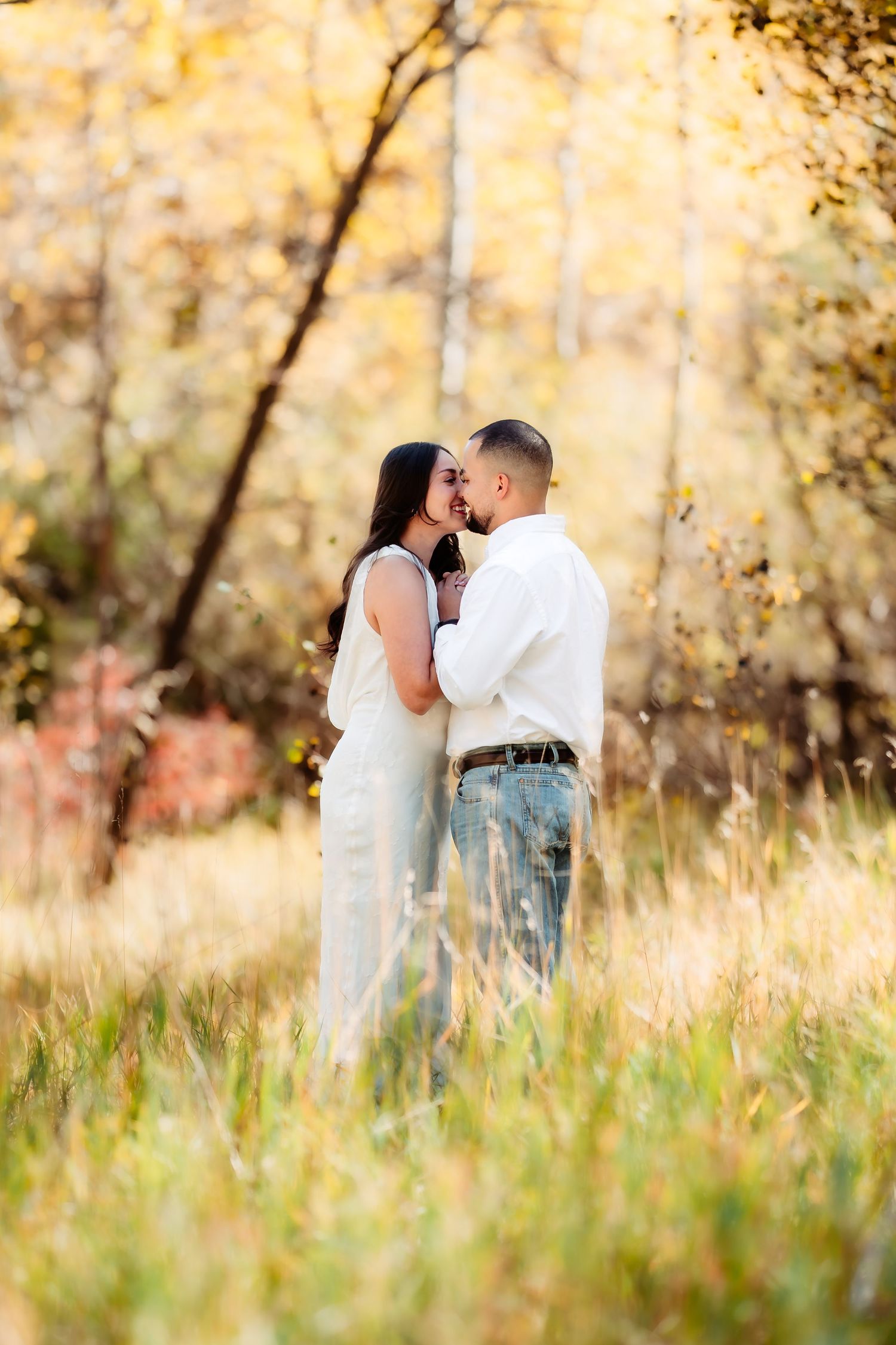 A romantic couple embraces in a sunlit autumn field with golden foliage and tall grass surrounding them.