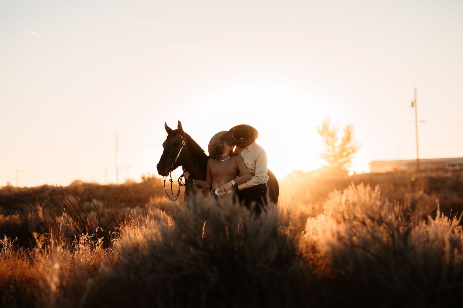 Silhouettes of wild horses grazing against a golden sunset sky on a grassy hilltop.