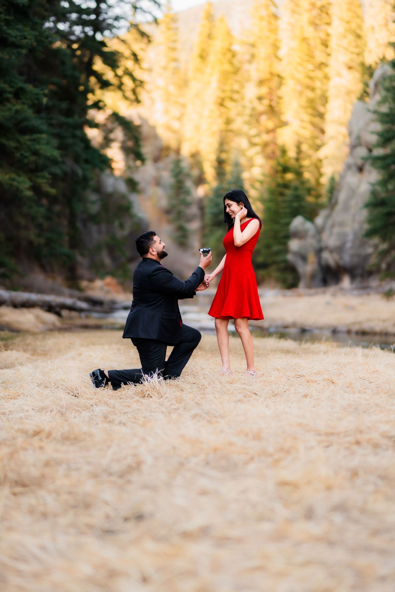 A romantic proposal moment captured in a scenic forest setting with golden sunlight.