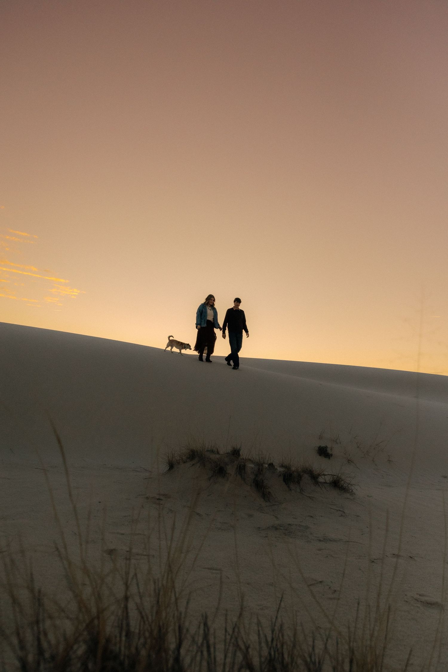 Silhouette of a couple walking a dog on sand dunes at golden sunset.