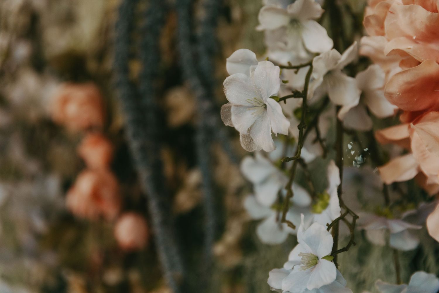 ruidoso,Las Cruces, Cloudcroft, El Paso, Wedding photographer, couples, enchanted vine, noisy winery venue, elopement, engagement photos