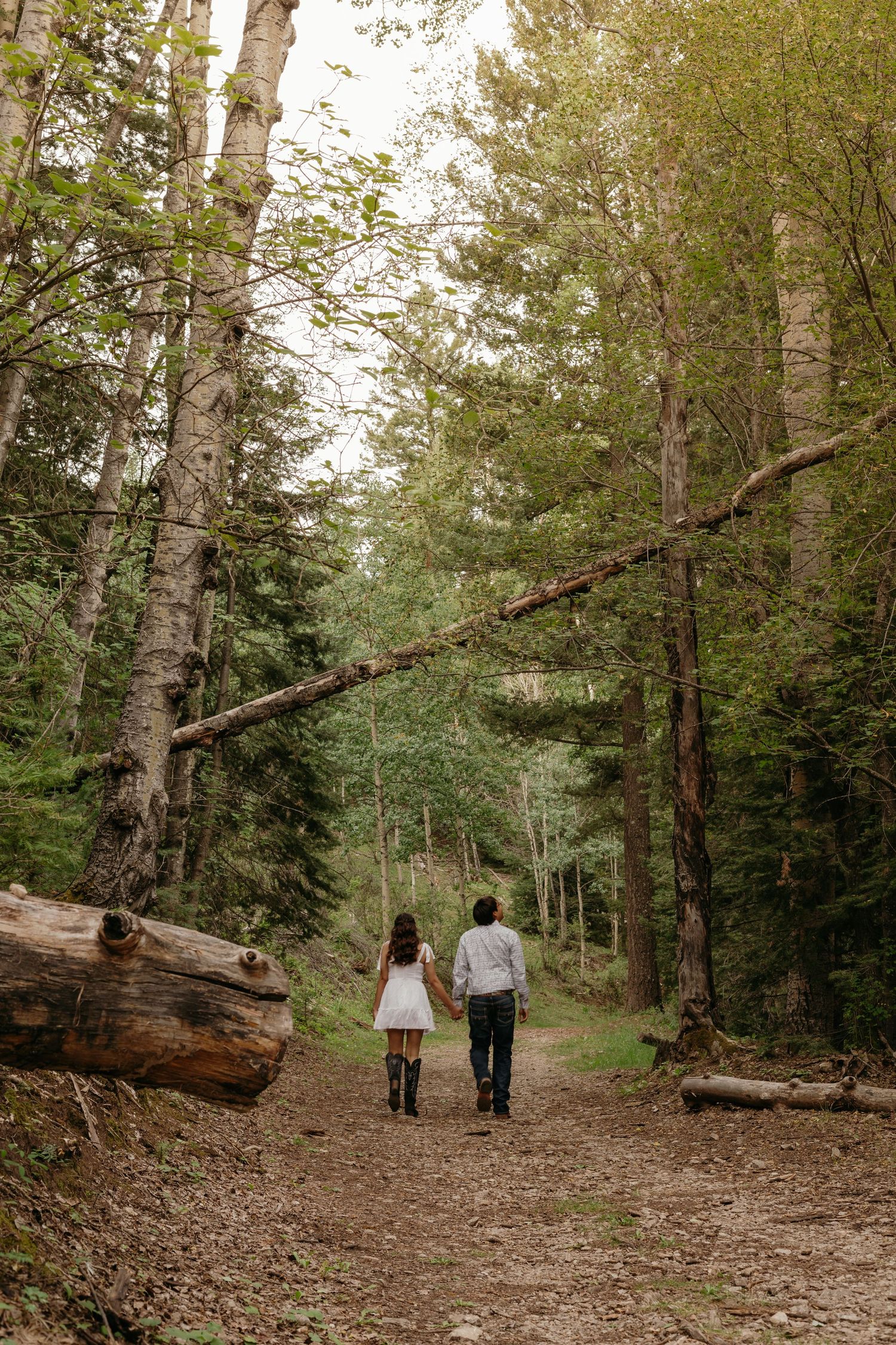 Cloudcroft, New Mexico, engagement photos, las cruces photographer, El Paso photographer, Alamogordo photographer, Cannon beach Oregon