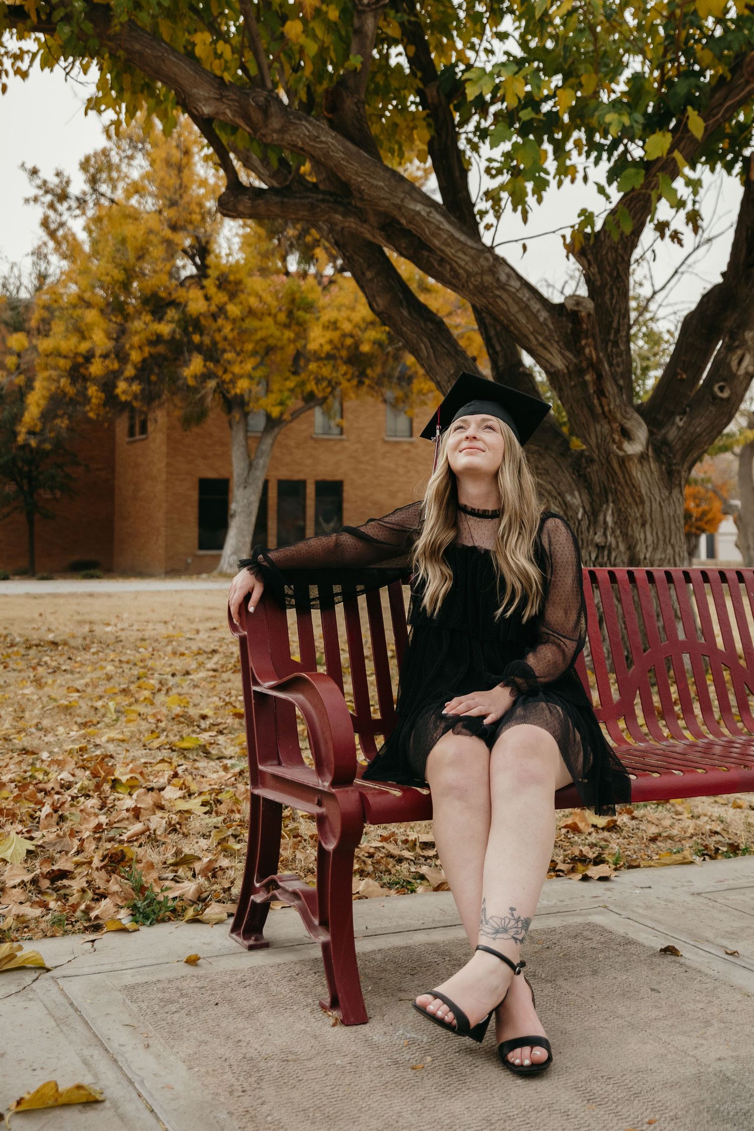 Graduate in black cap sitting on red bench under autumn tree on campus grounds.