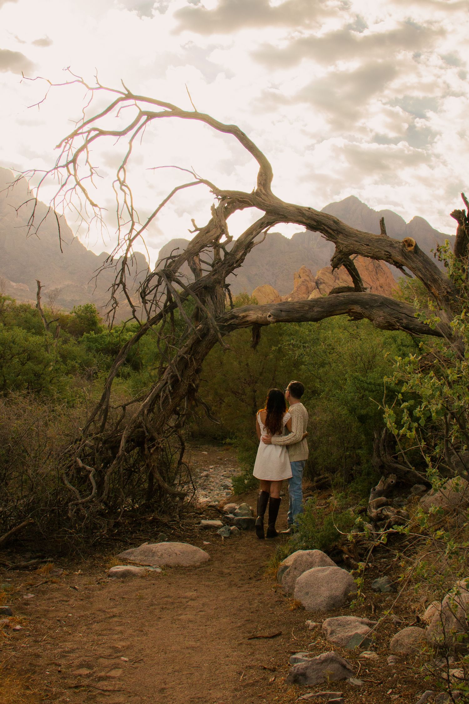 Couple embracing under a dramatic arched dead tree on a scenic desert mountain trail.