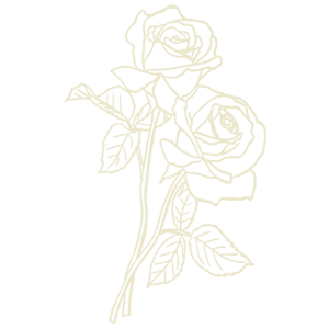 Delicate line art illustration of two roses with leaves on a stem, rendered in soft cream tones on white background.