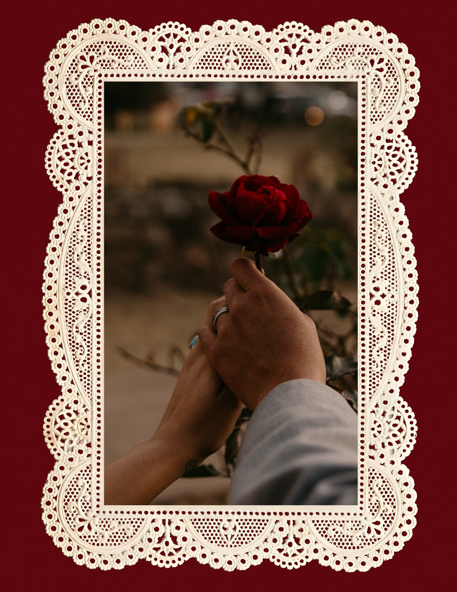 Two hands holding a deep red rose with a lace border frame on a dark crimson background.