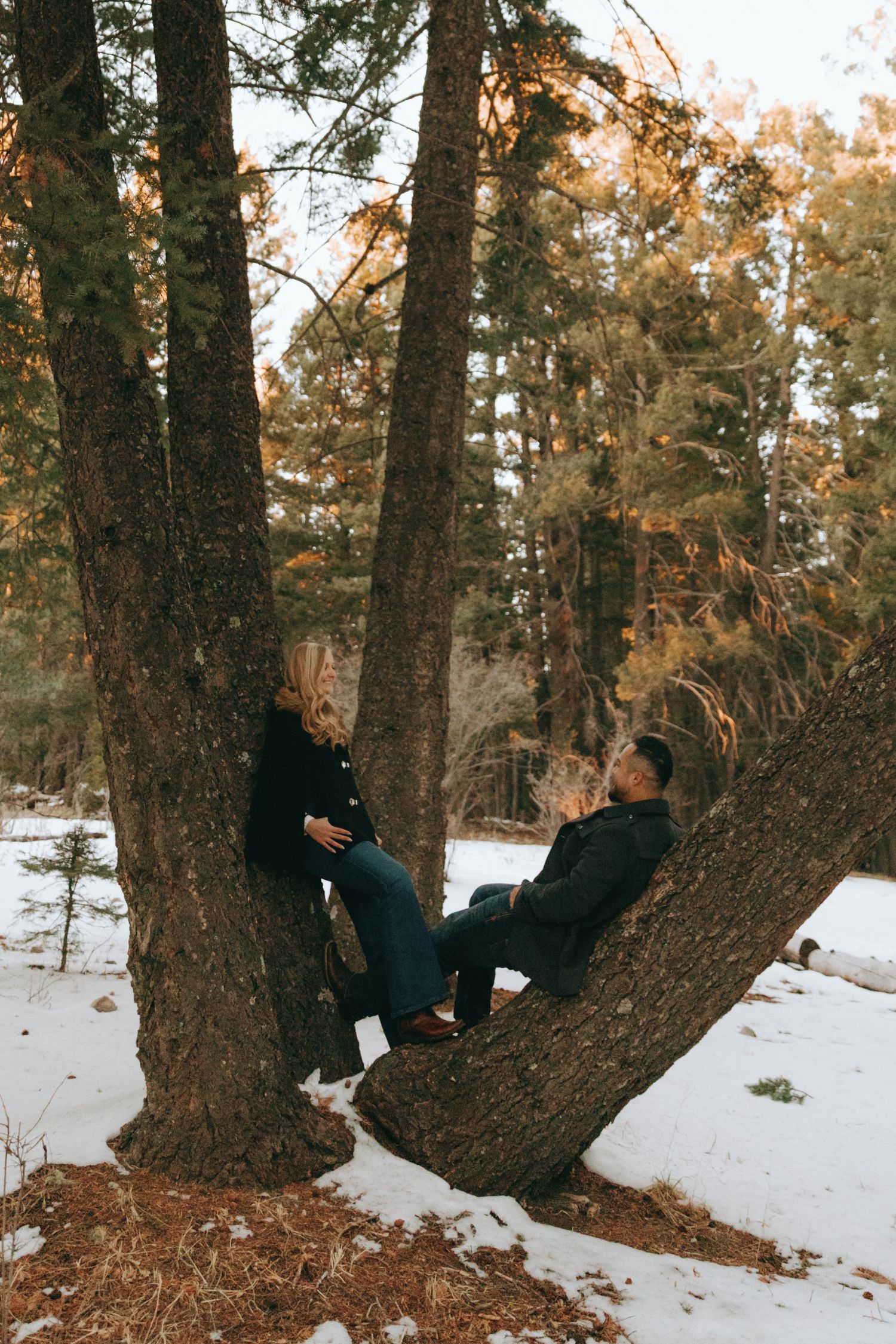 Couple sitting on a curved tree trunk in a snowy forest with golden pine trees in the background.