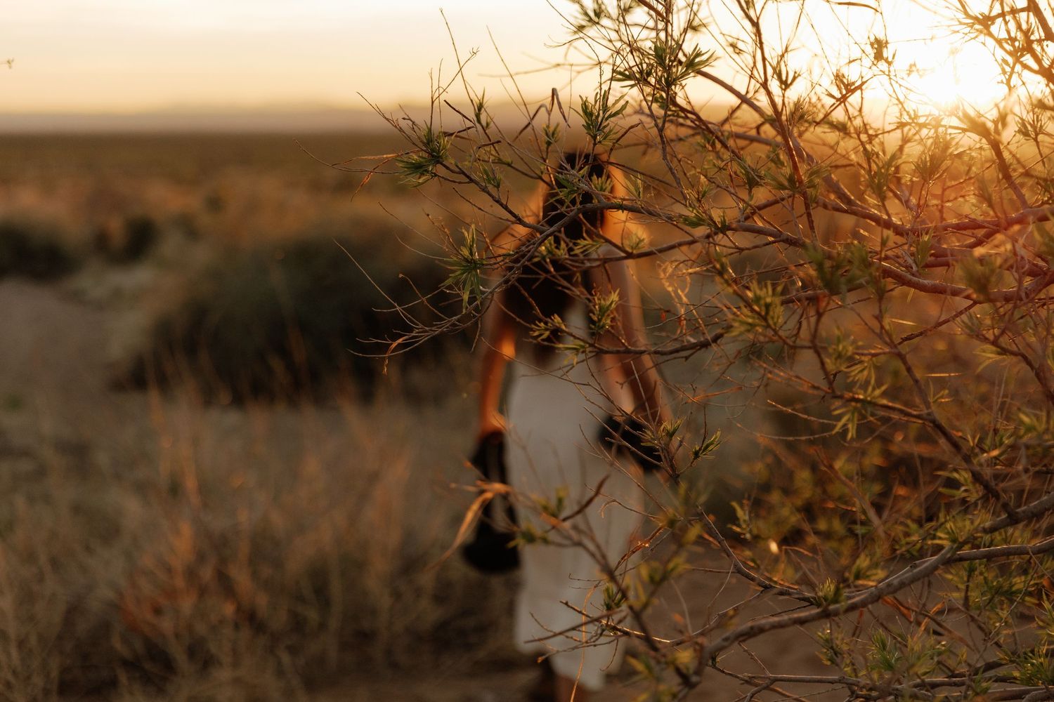 Woman in white dress walks through desert shrubs at golden hour.