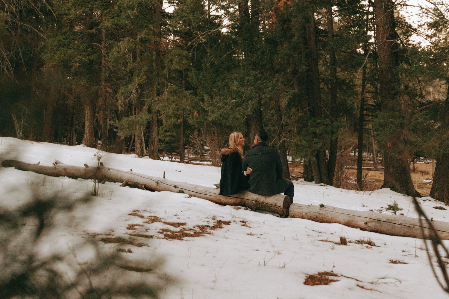 Couple sitting together on a fallen log in a snowy forest during winter, surrounded by tall pine trees.