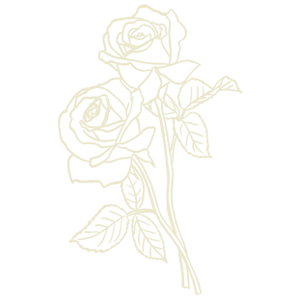 Delicate line art illustration of two roses with leaves on a stem, rendered in soft cream tones on white background.