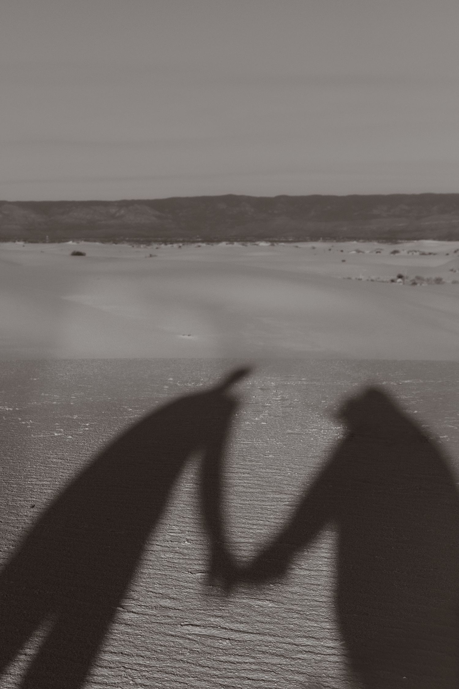 Shadows of a couple holding hands cast on white sand dunes in a desert.