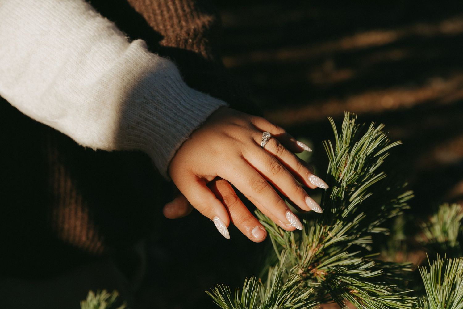 Tularosa, Alamagordo, Las Cruces, Cloudcroft, El Paso, Wedding photographer, couples, documentary, proposal, elopement, engagement photos