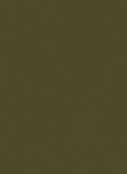 Solid olive green background with a smooth, matte texture in a deep army green color tone.