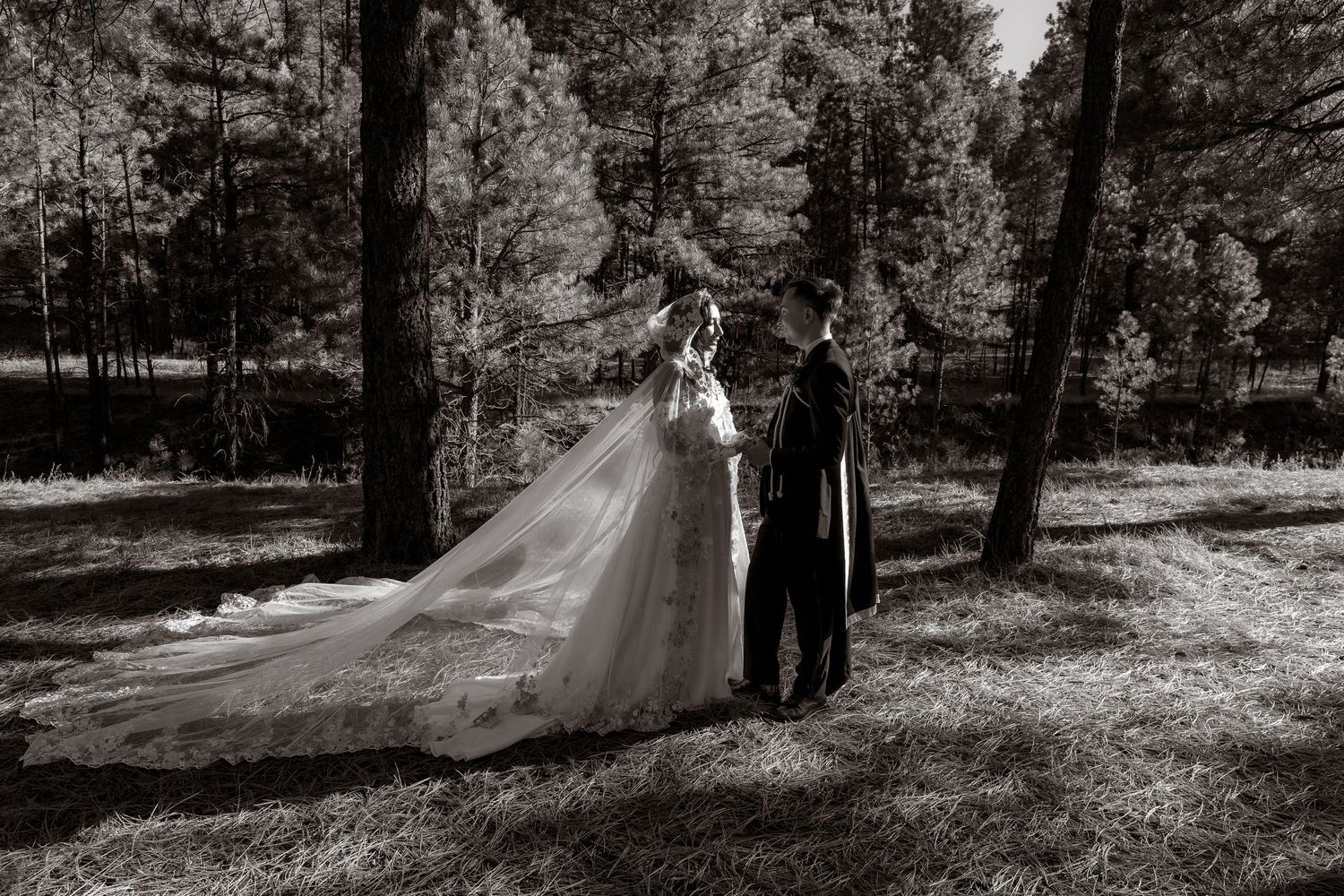 ruidoso,Las Cruces, Cloudcroft, El Paso, Wedding photographer, couples, enchanted vine, noisy winery venue, elopement, engagement photos