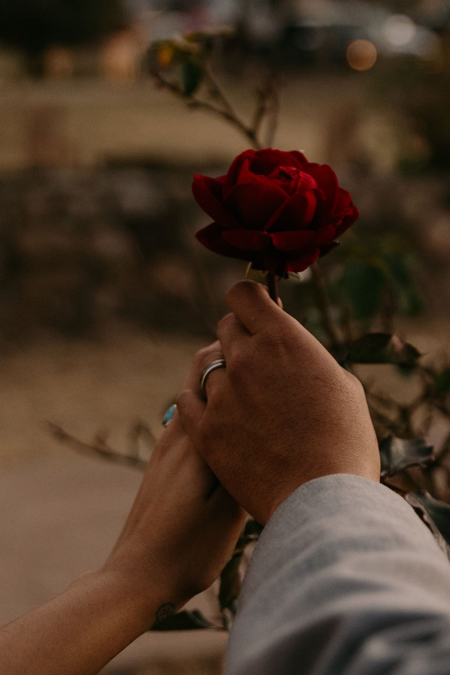 Tularosa, Alamagordo, Las Cruces, Cloudcroft, El Paso, Wedding photographer, couples, documentary, luminarias, Christmas in New Mexico