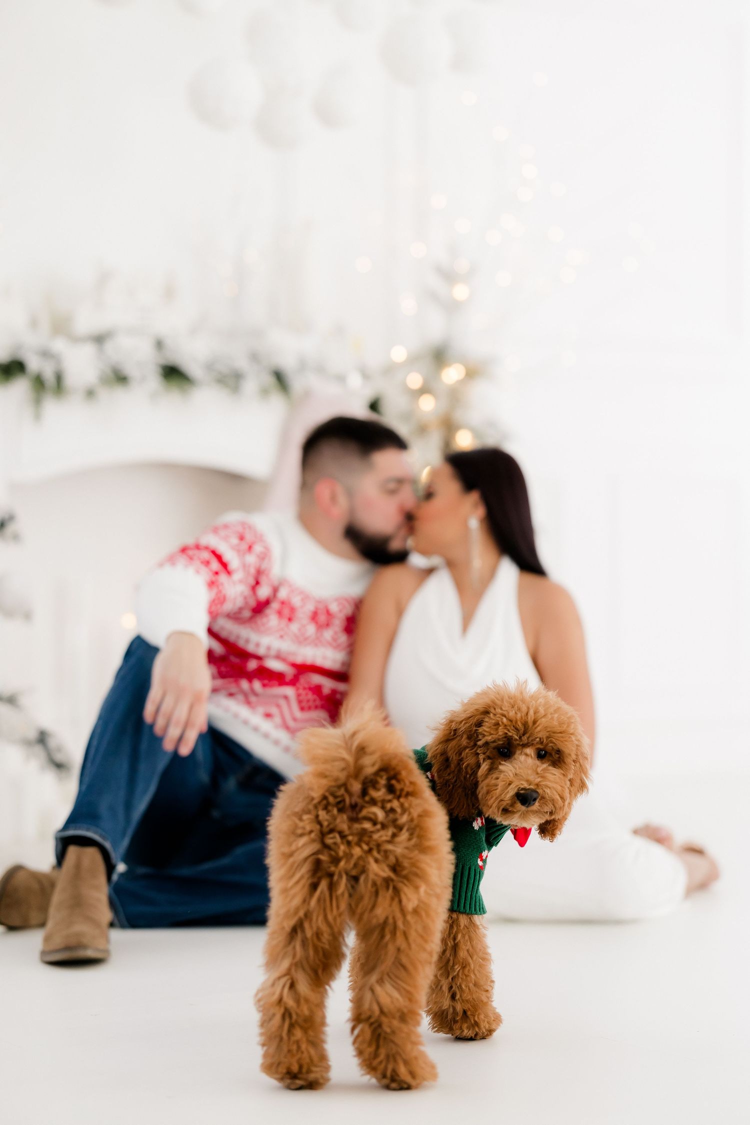 Brown goldendoodle dog in bow tie poses in front of couple and holiday decor.