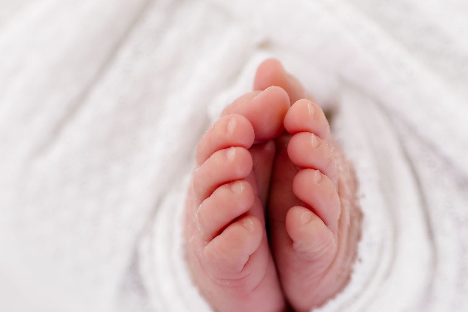 Four closeup photos of tiny newborn baby feet wrapped in soft white blankets show delicate pink toes.