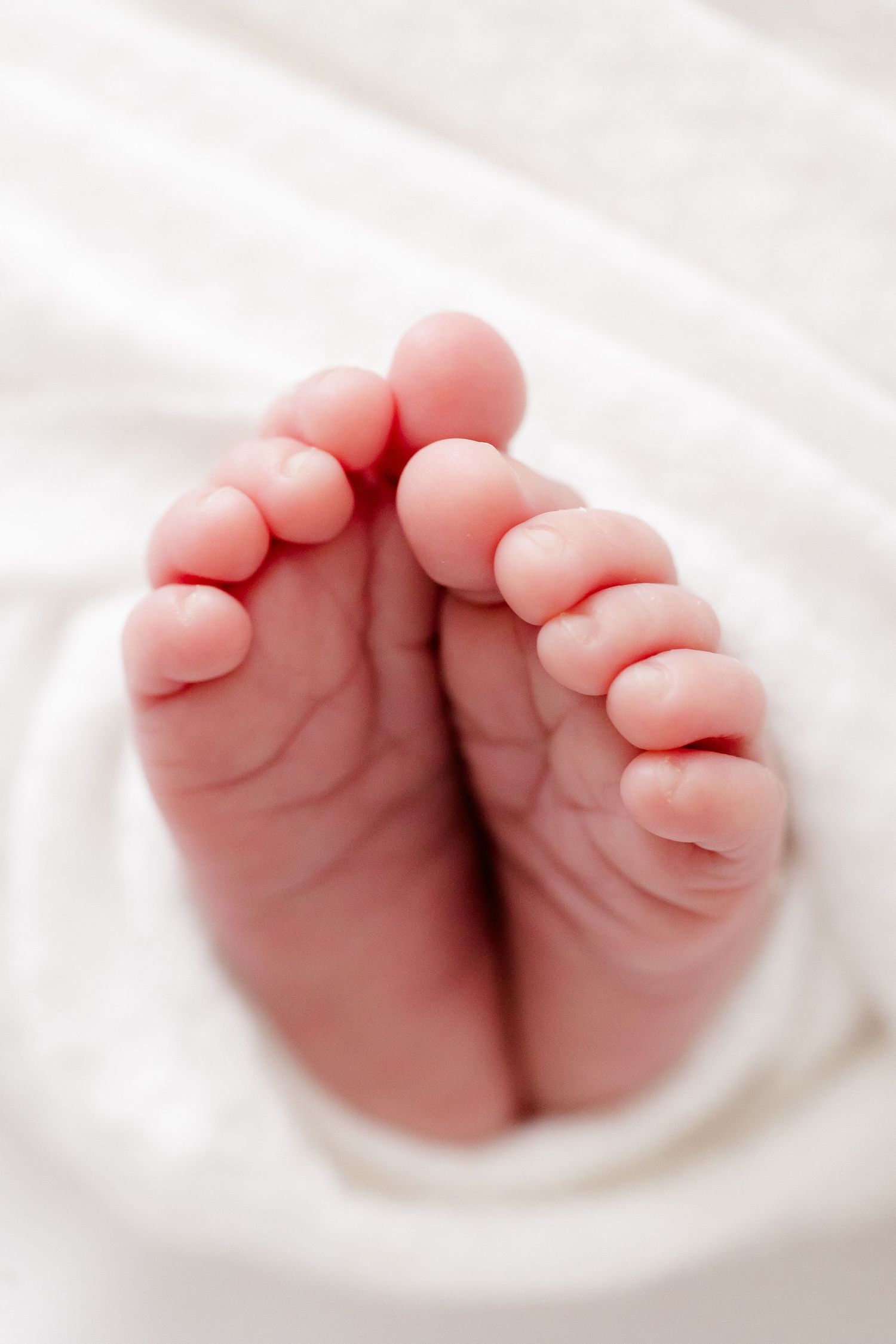 Close-up of tiny newborn baby feet wrapped in soft white blanket showing delicate toes and pink skin.