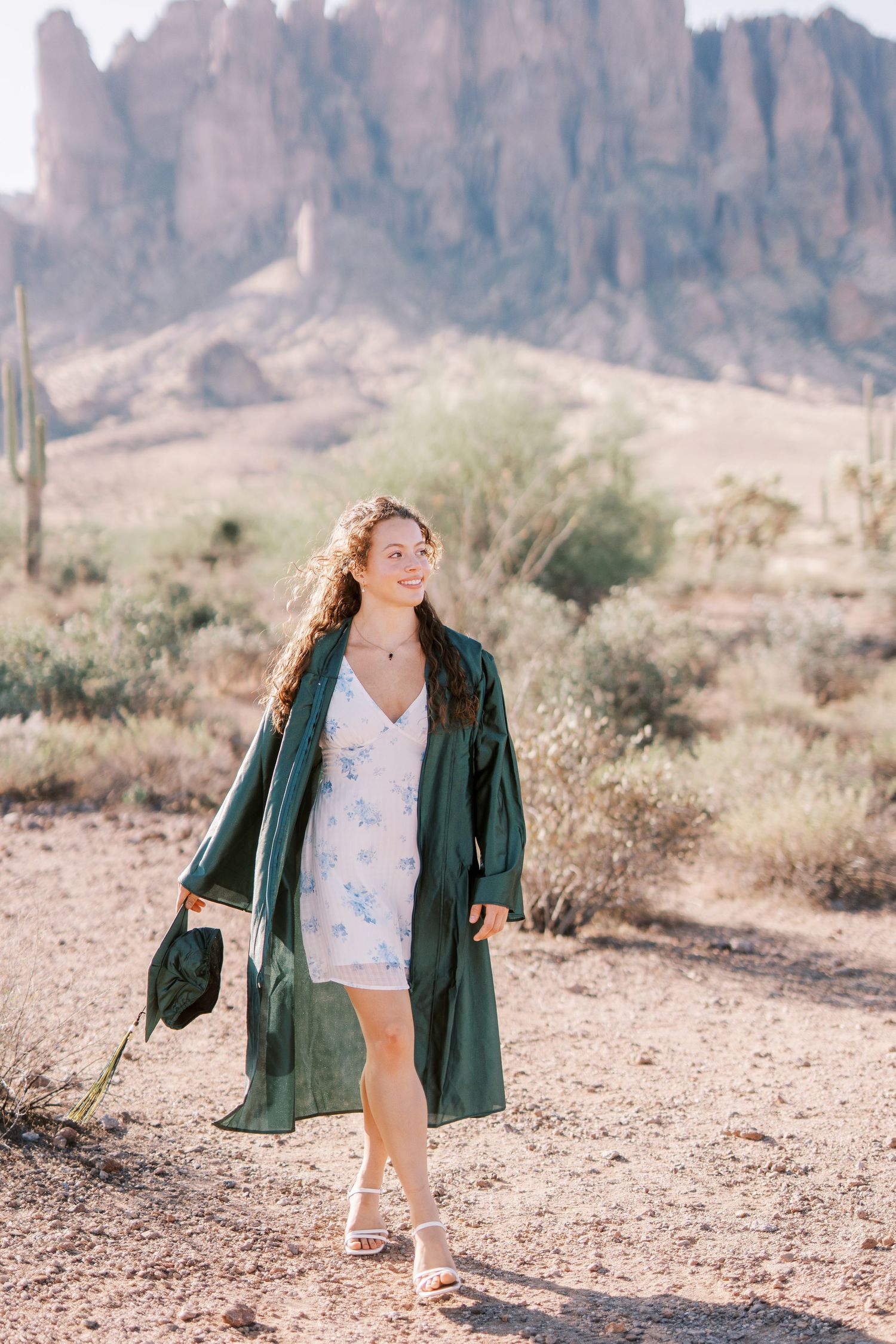The desert landscape features mountains, cacti, and a figure in a green coat walking along a sandy path.
