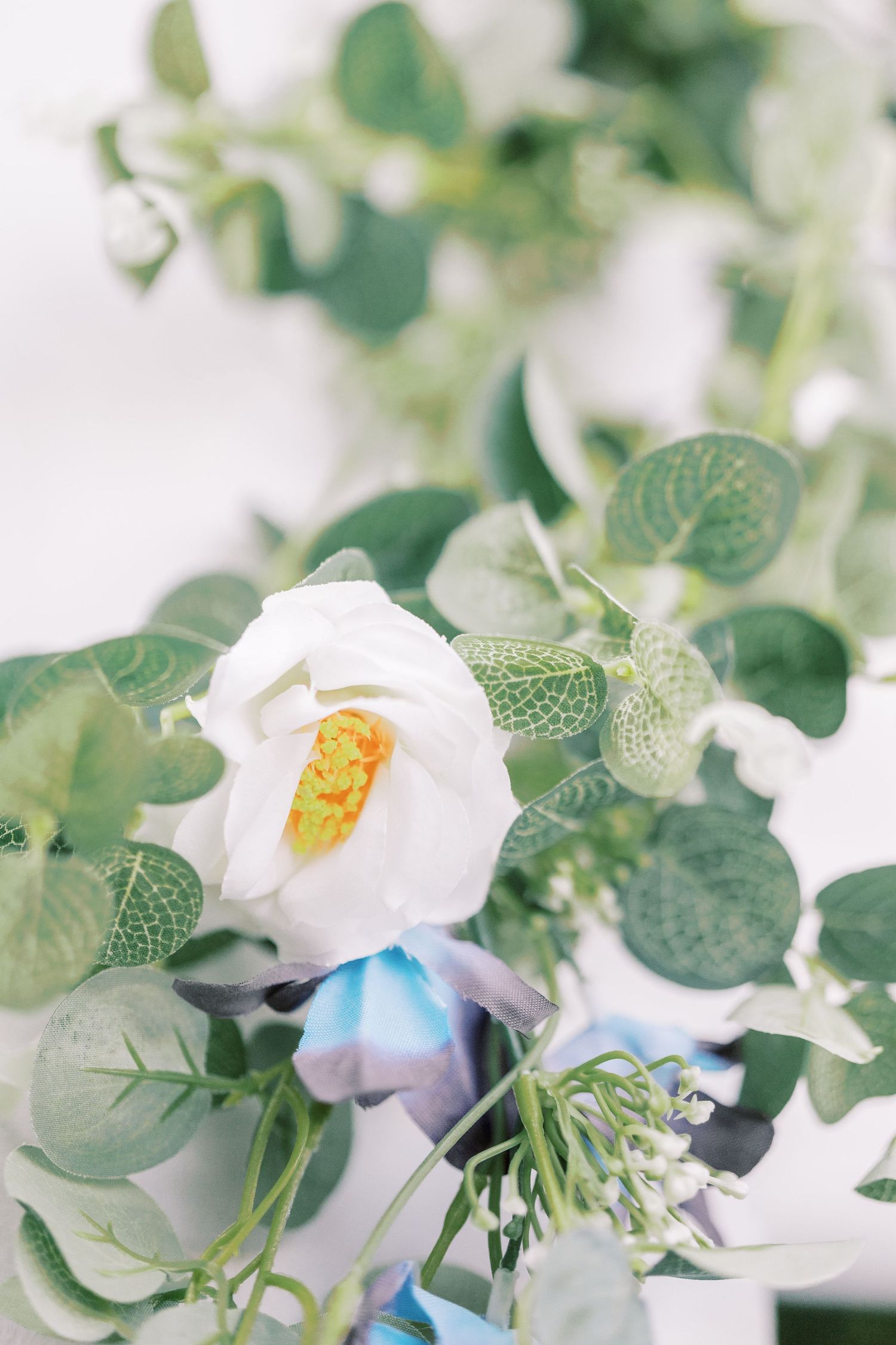 Close-up of white garden rose bloom with yellow stamen among soft green eucalyptus leaves and blue accents in floral arrangement.
