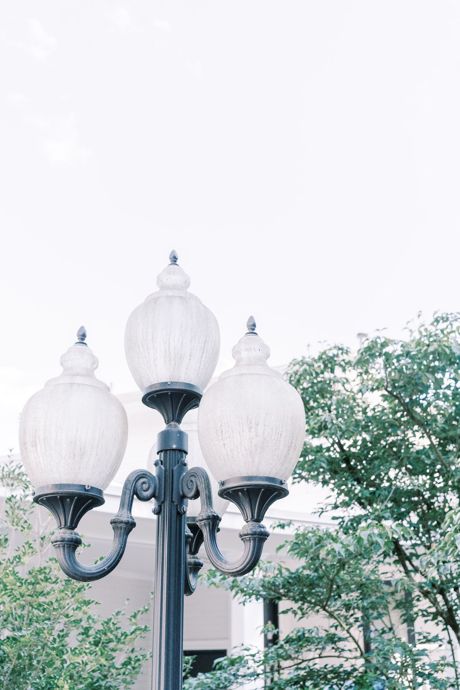 Ornate vintage street lamp with white frosted glass globes and decorative metalwork against green foliage background.