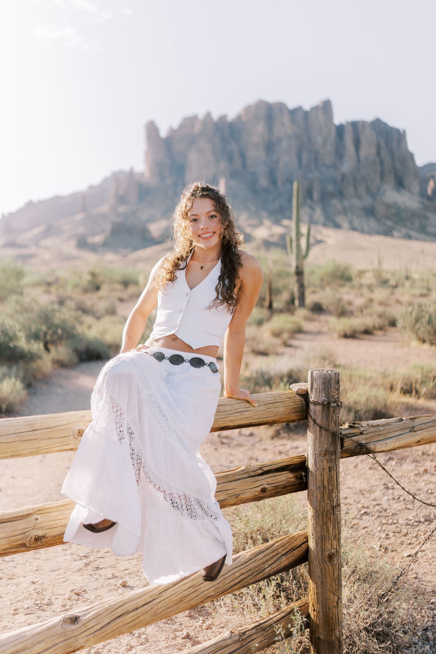 Desert landscape with a wooden fence and cactus at the Superstition Mountains in Arizona during golden hour.