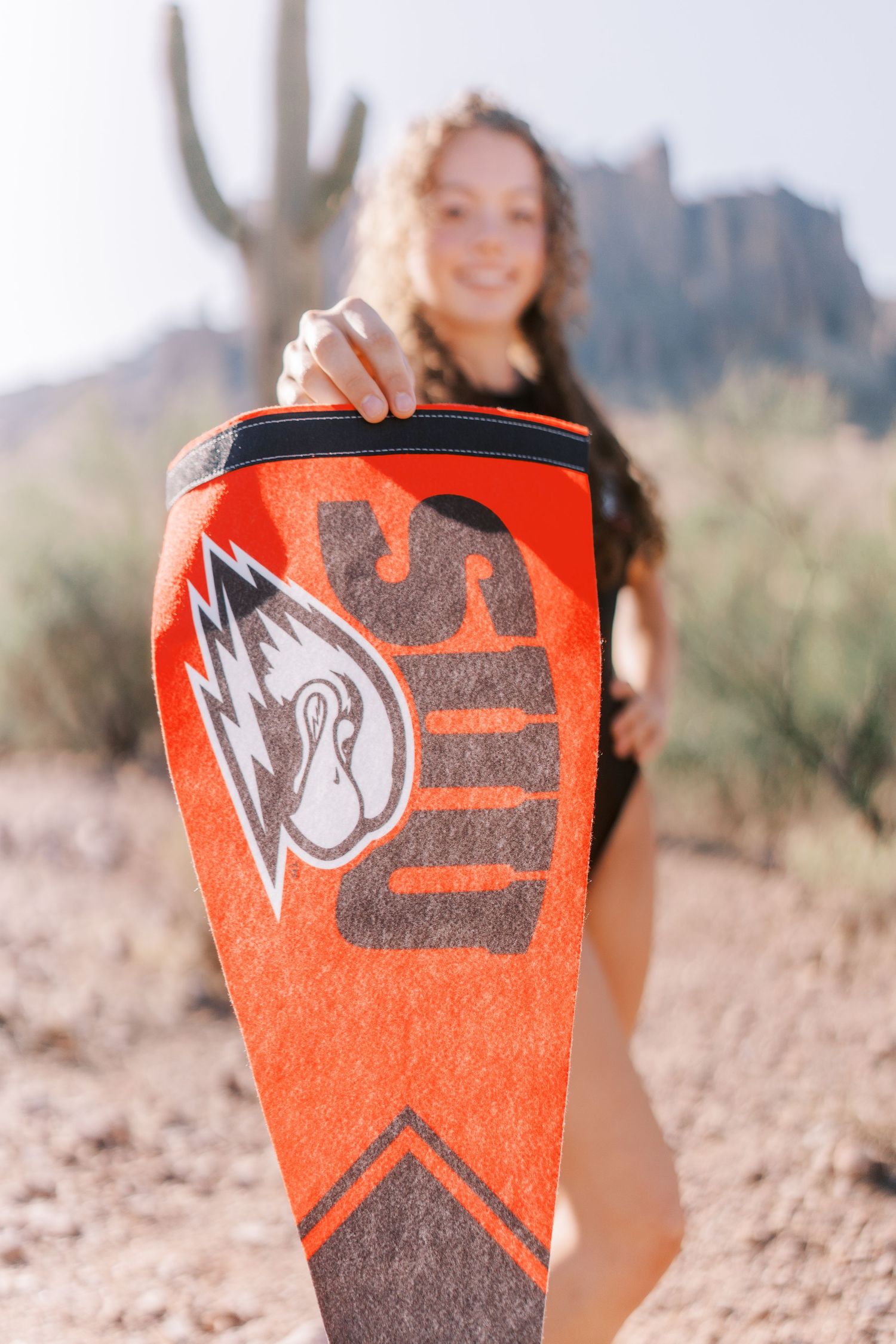 Red and black university sports banner with wolf mascot logo shown against desert mountain backdrop.