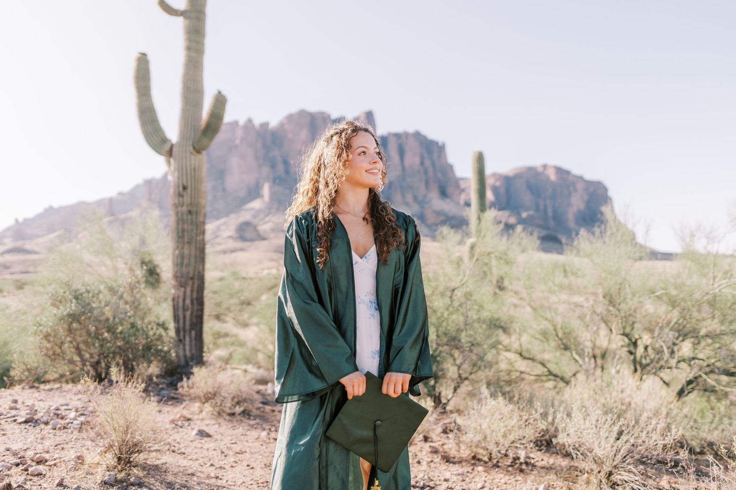 A figure in a green jacket enjoys sunlight in a desert landscape with towering saguaro cacti and mountains.