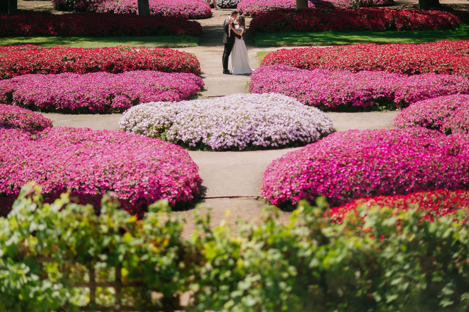 Fotógrafos de novios en el parque de El Capricho Madrid
