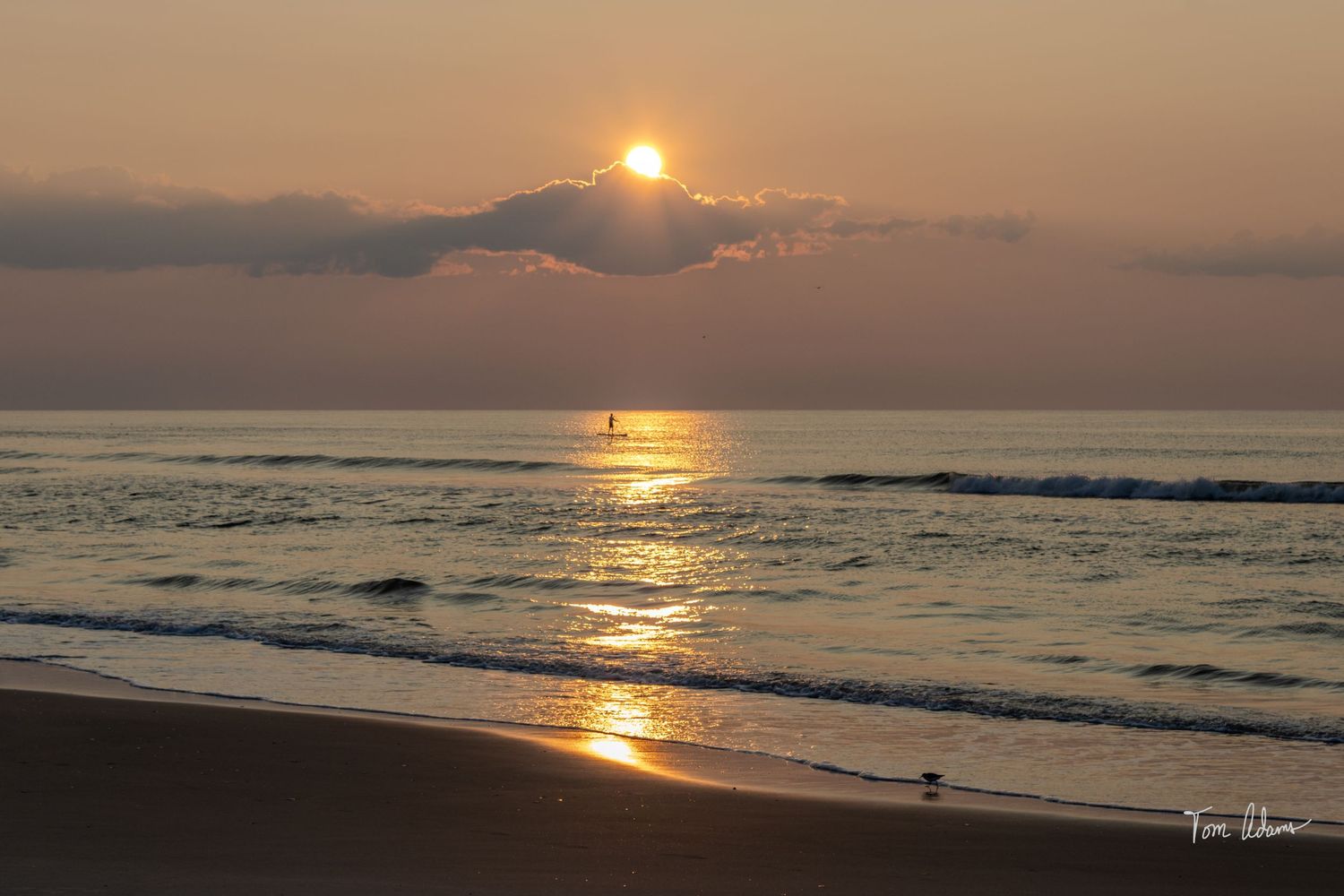 An image of a sunrise.