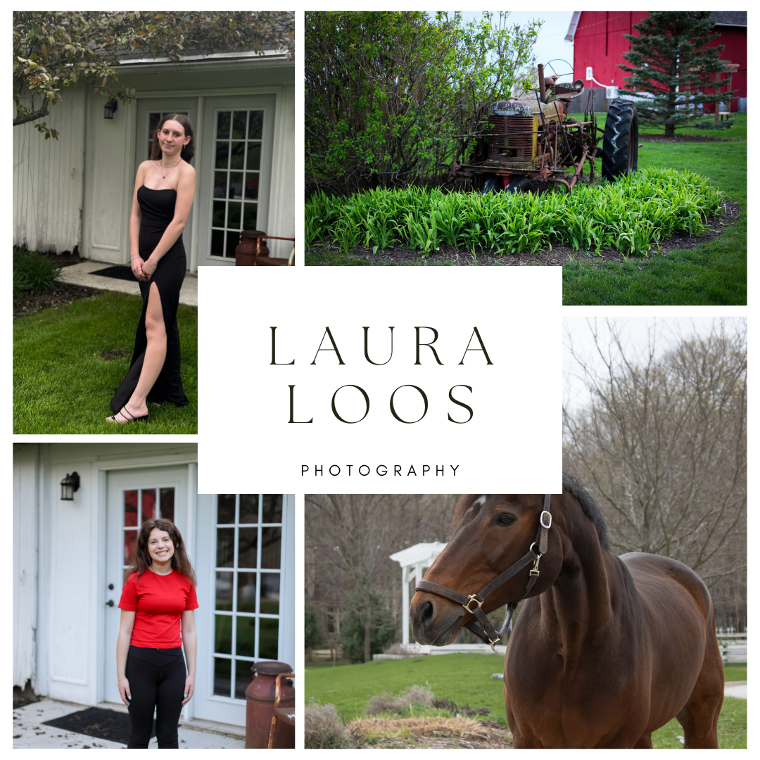 A photography business logo and portfolio collage featuring outdoor portraits, a horse photo, and a rural property setting.