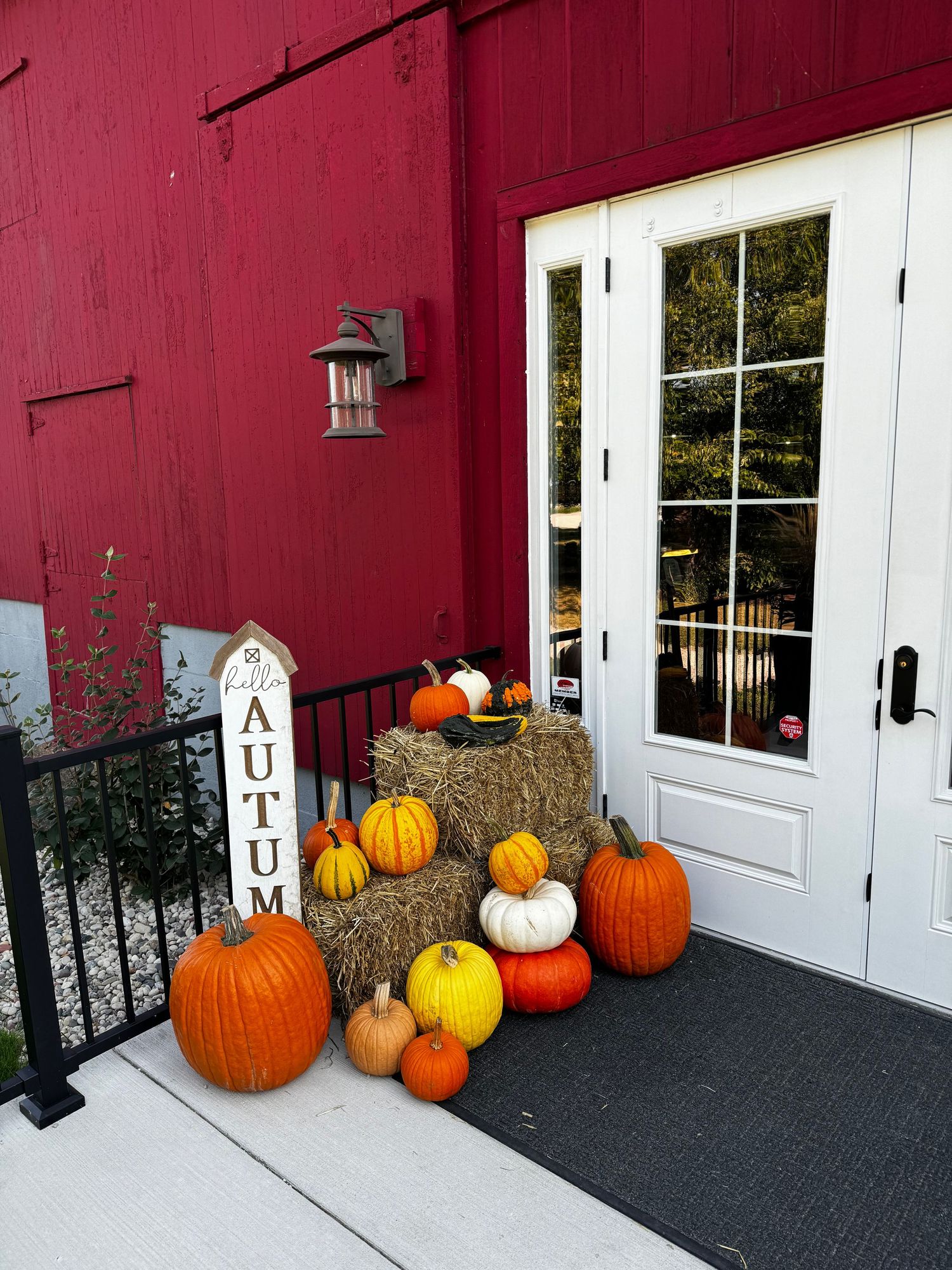 Fall harvest display with orange pumpkins and autumn decor arranged by white French doors on a red building.