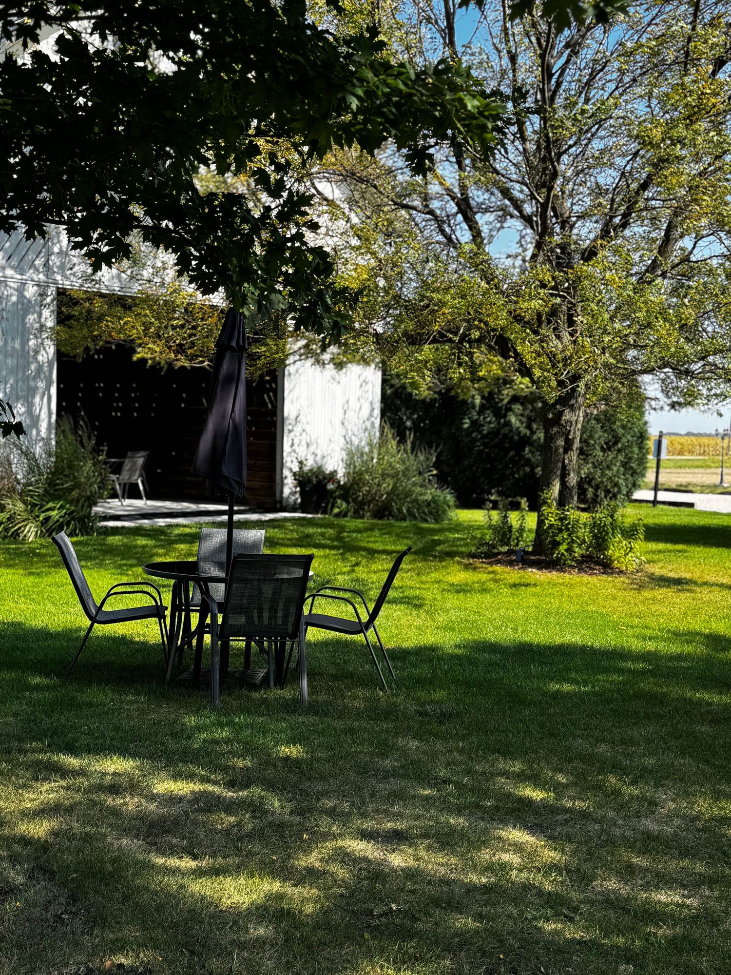 An outdoor patio table and chairs set on a green lawn under shady trees near a white building.