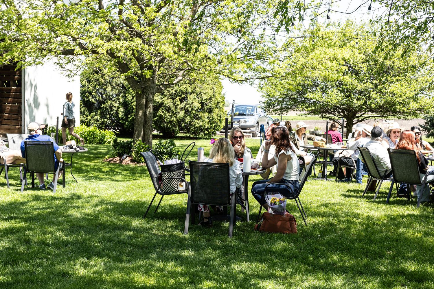 People enjoying a sunny afternoon at an outdoor garden party with chairs scattered on a green lawn under leafy trees.