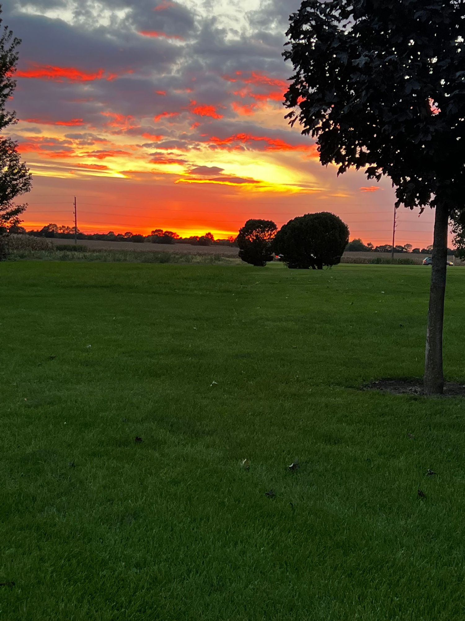 Dramatic orange and red sunset over a green field with silhouetted trees against the colorful sky.