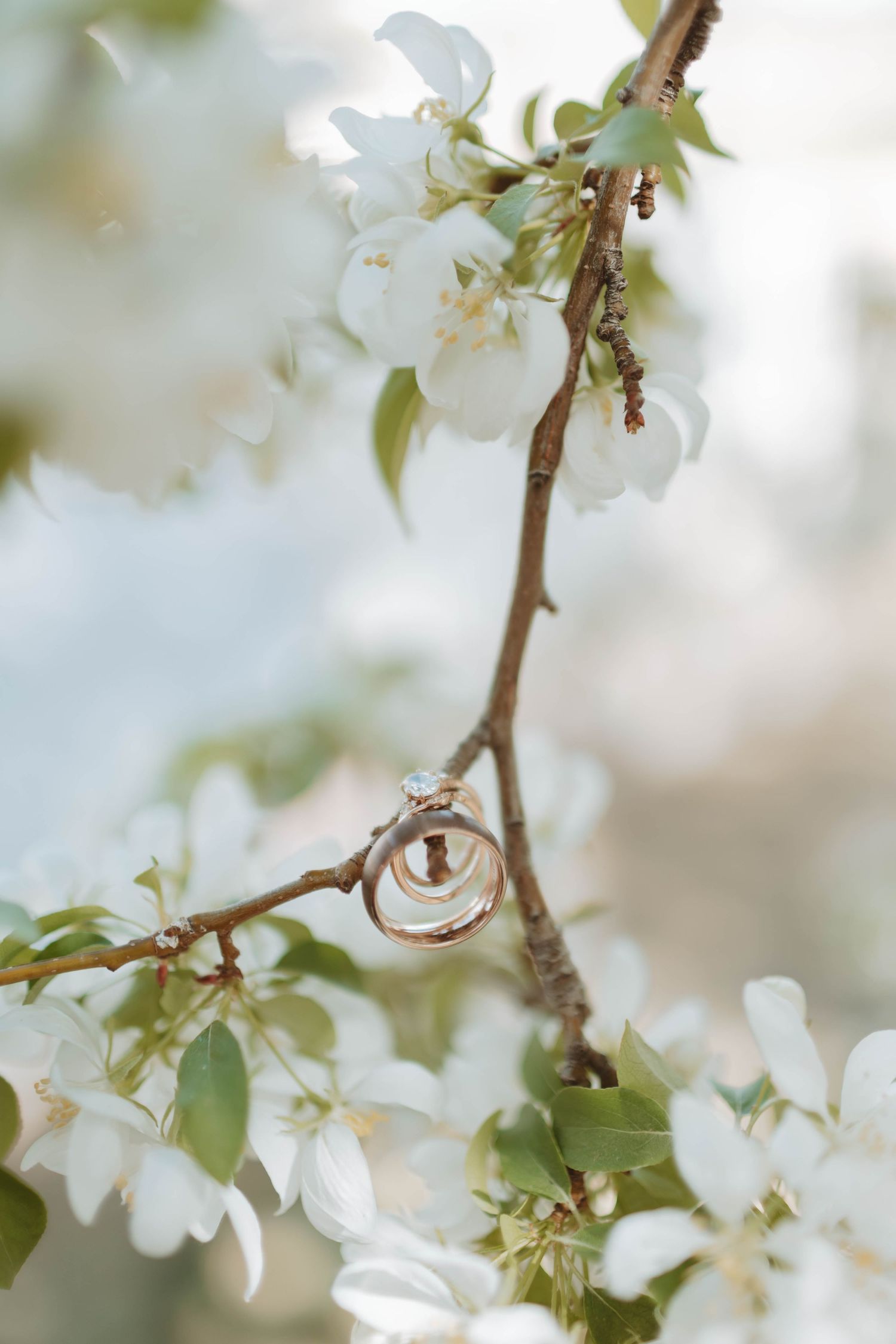 Grand Junction Wedding Photography