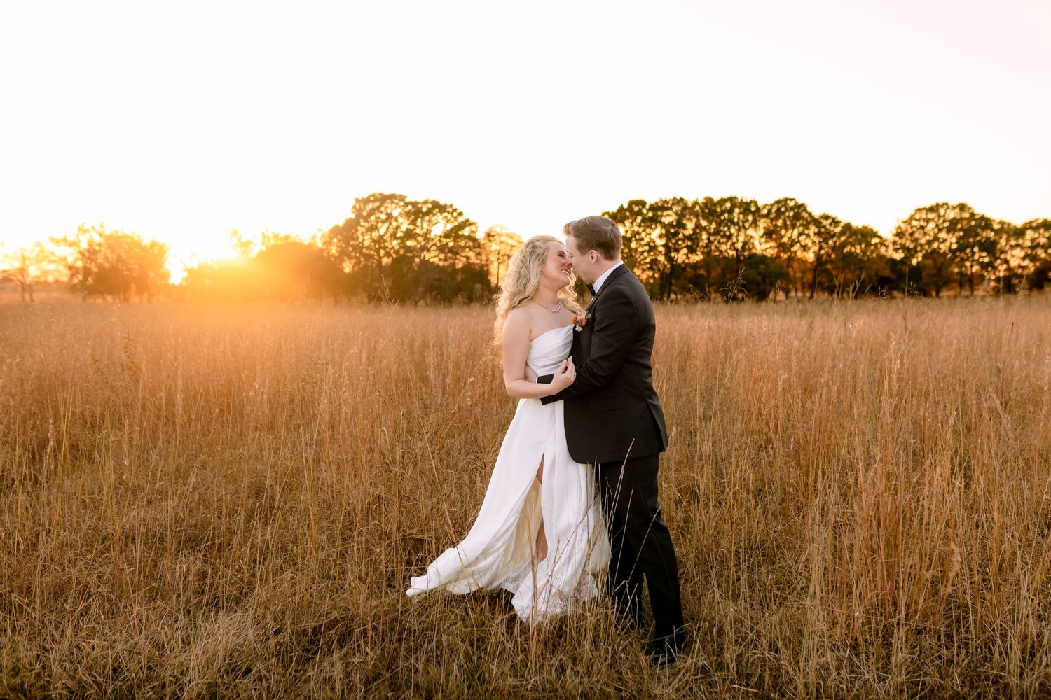 A couple embraces in a sun-drenched golden field at sunset with trees silhouetted in the background.