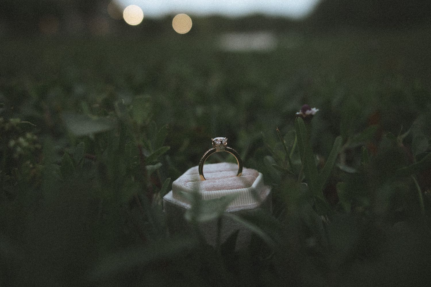 A stunning diamond engagement ring displayed on a white ring box nestled in lush green grass at dusk.