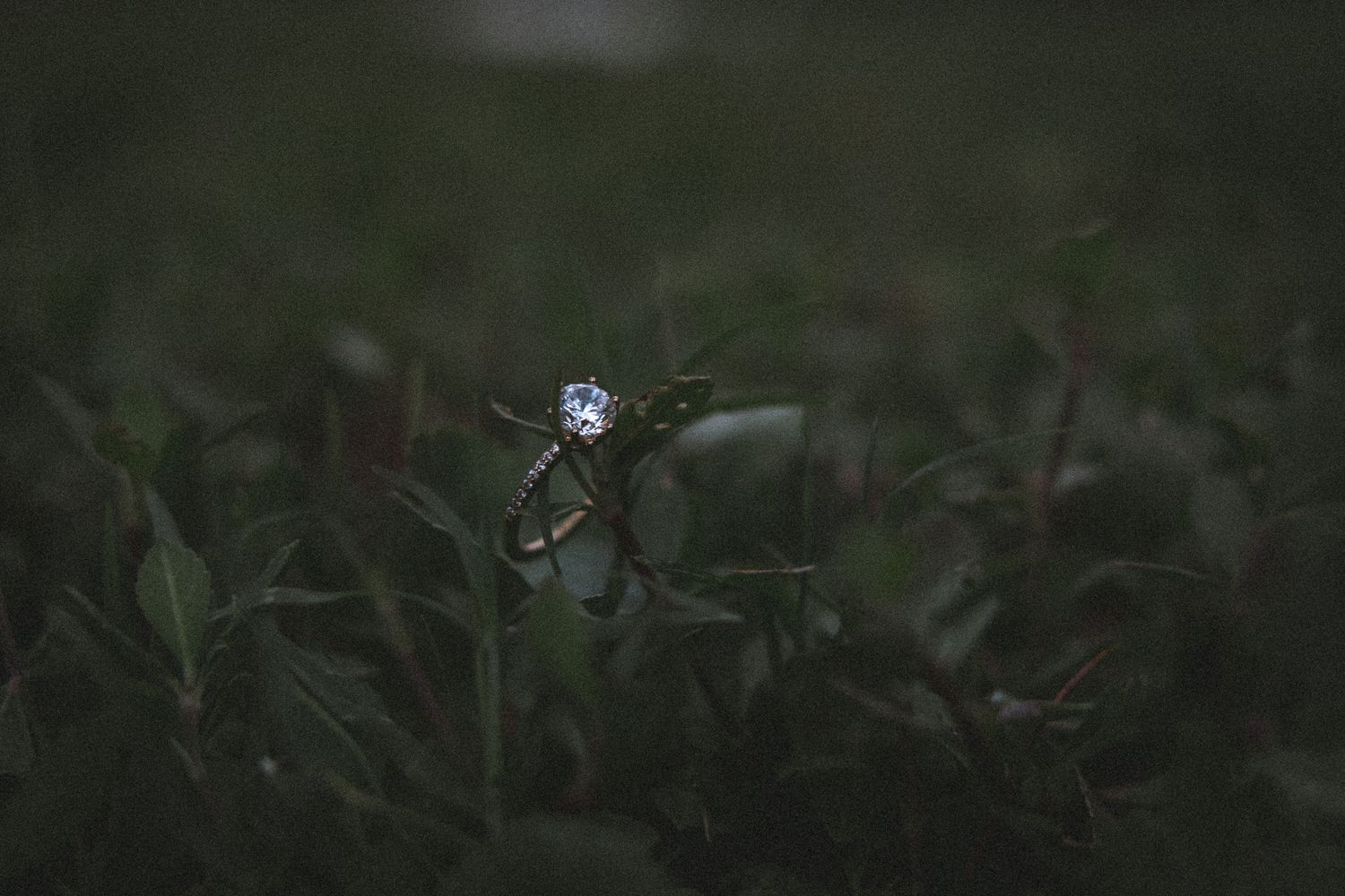 Glowing diamond engagement ring nestled in dark lush greenery with dramatic moody lighting effect.