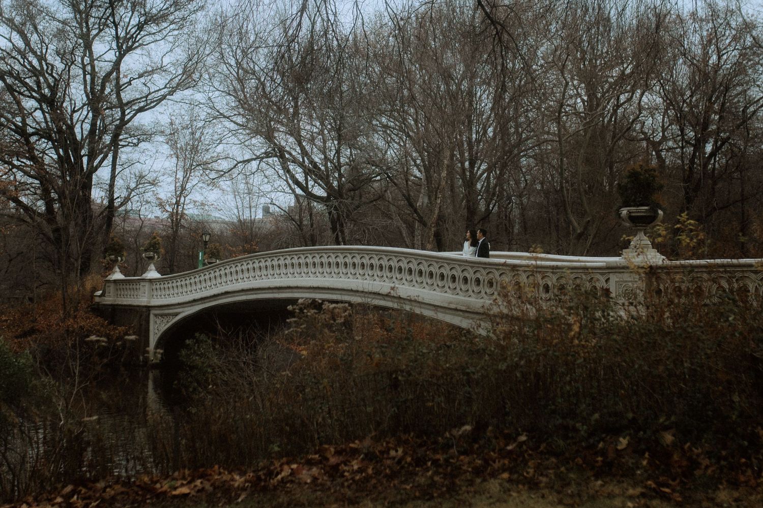 Elegant stone bridge with ornate railings spans across a wooded area in winter.