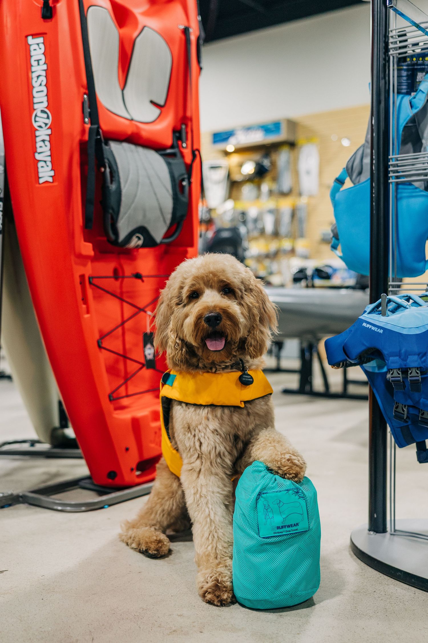 Fluffy goldendoodle wearing yellow life vest sits beside teal backpack in outdoor gear store with red Jackson Kayak.