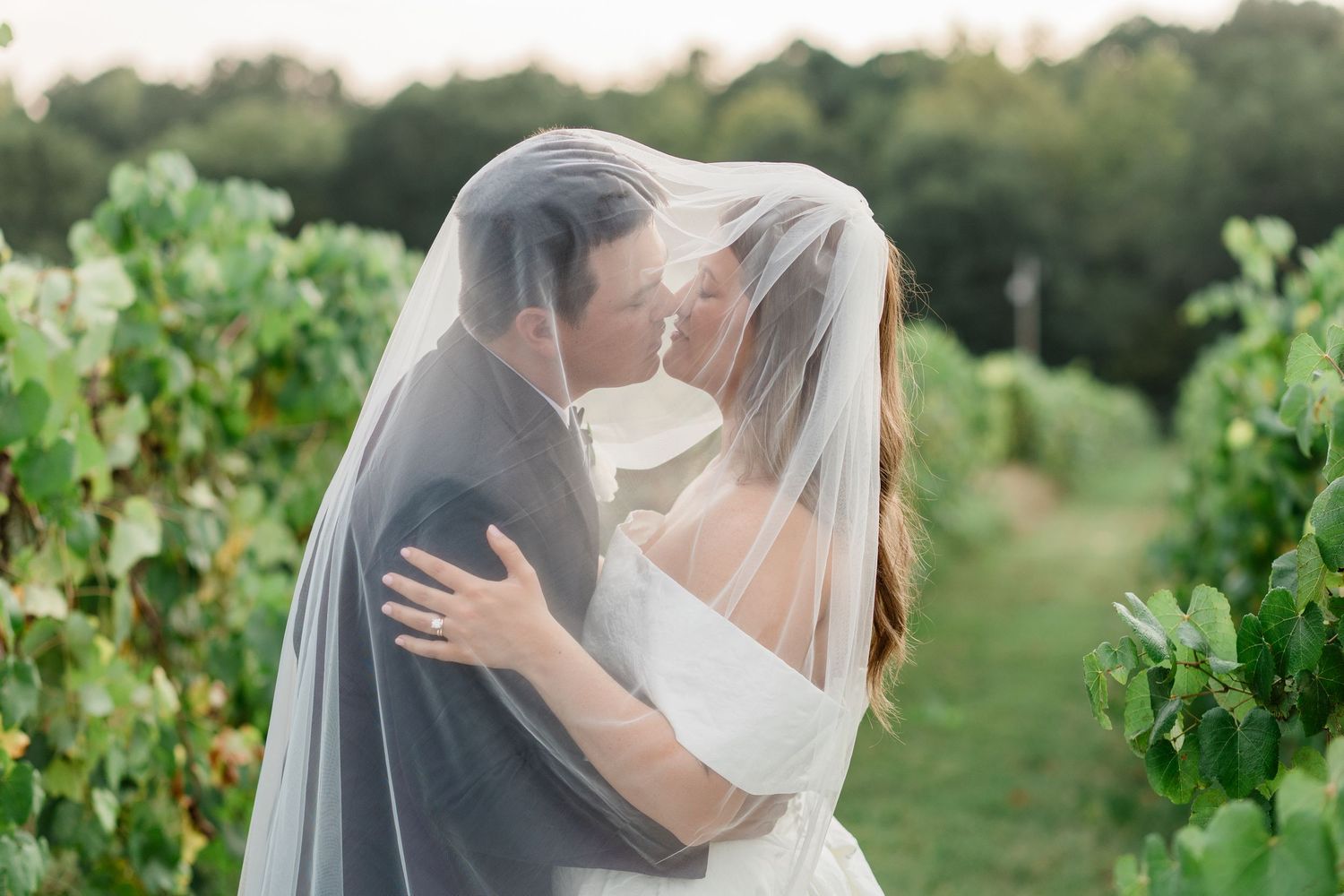 A romantic couple embraces in a vineyard on their wedding day, with the bride's veil flowing in the sunlight.