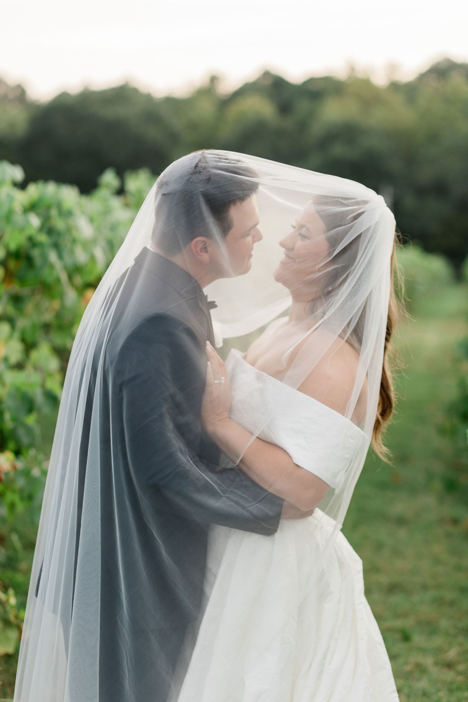 Romantic wedding couple embraces under a flowing veil in a vineyard at sunset.
