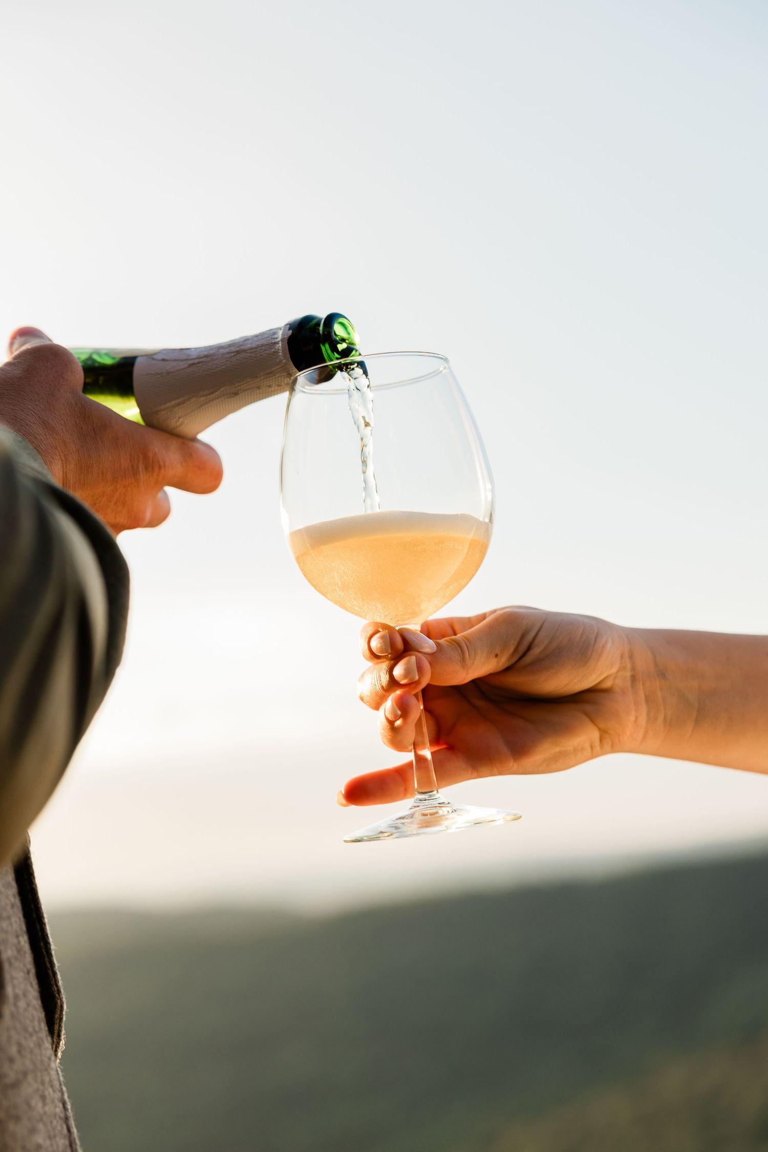 A glass of champagne or cocktail being held up against a scenic mountain sunset view.