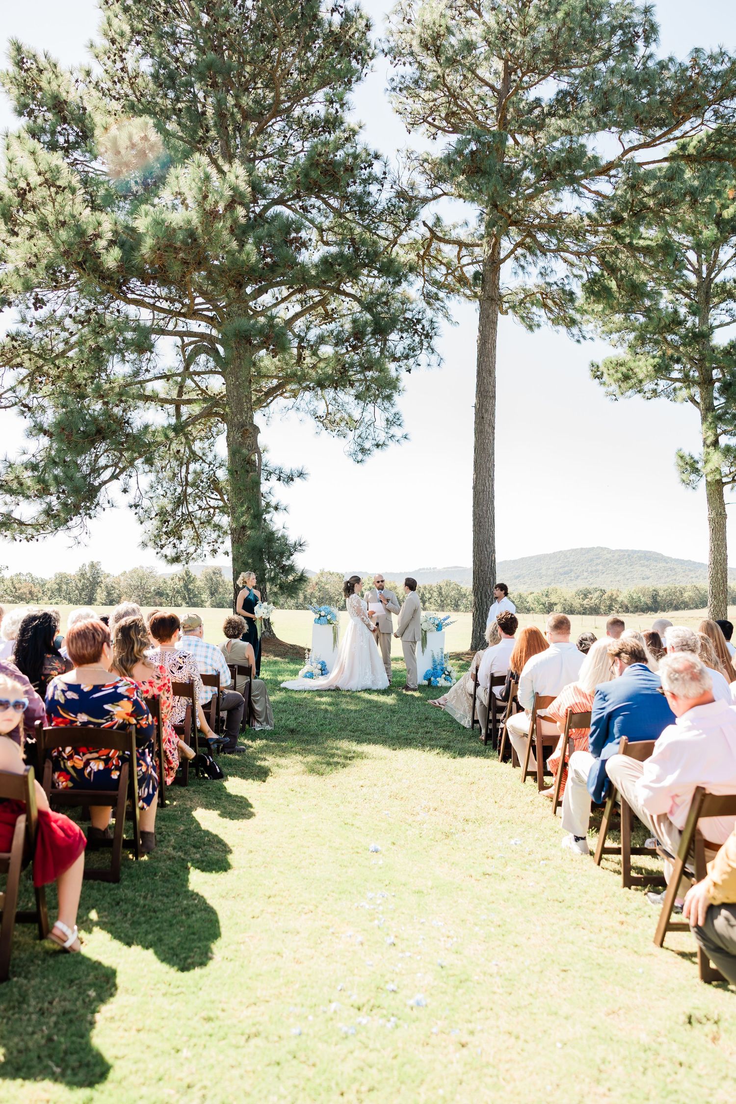 Outdoor wedding ceremony setup with rows of chairs under tall pine trees on a grassy hillside.