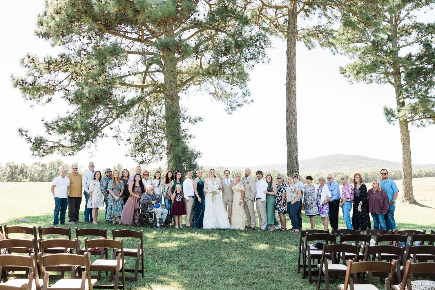Panoramic view of wedding guests gathered under pine trees for an outdoor ceremony.