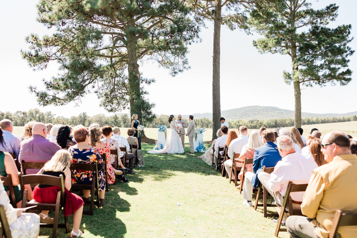 Outdoor wedding reception setup with long tables under tall pine trees and string lights.
