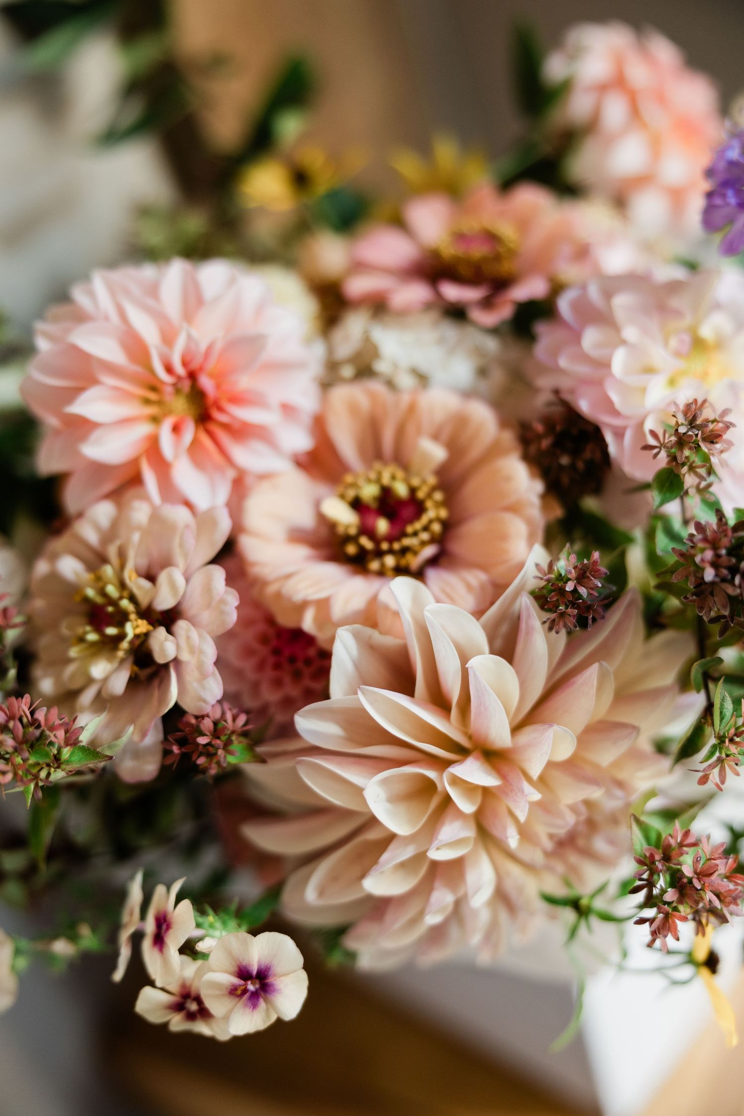 Delicate peach and blush-colored dahlia flowers arranged in a soft, romantic composition.