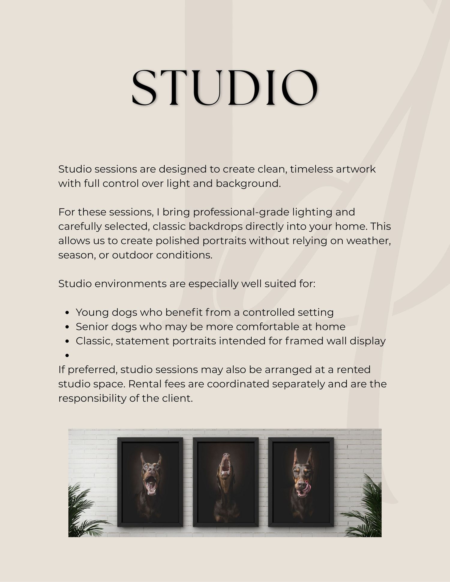 A studio photography brochure page shows three dark portrait samples and text describing studio session details.