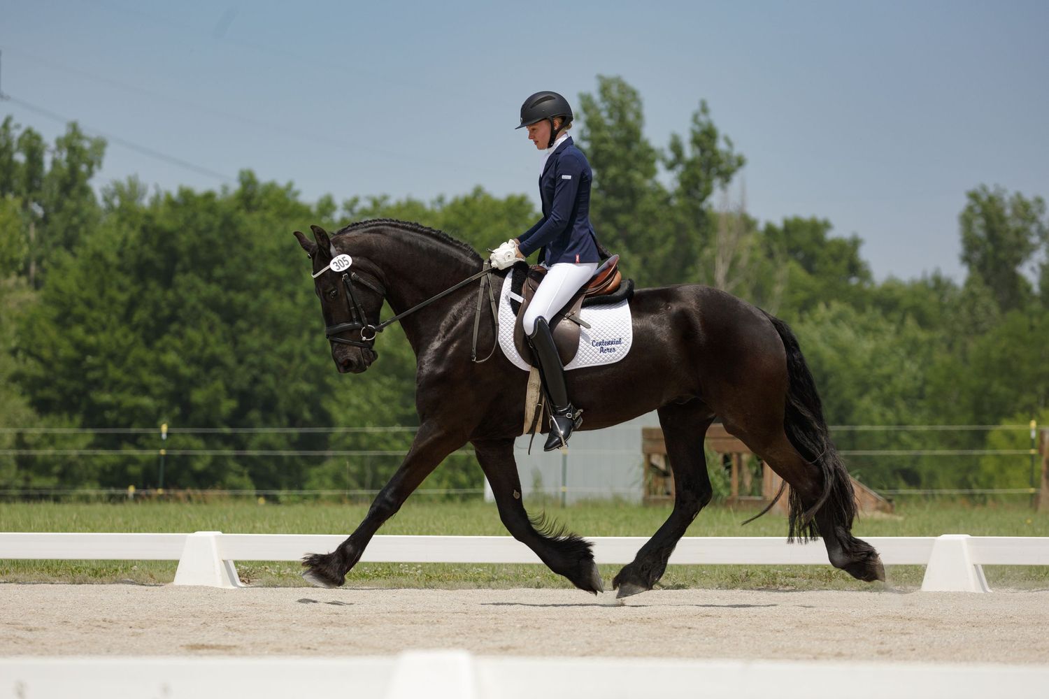 A rider in formal equestrian attire performs dressage movements on a dark brown horse in an outdoor arena.